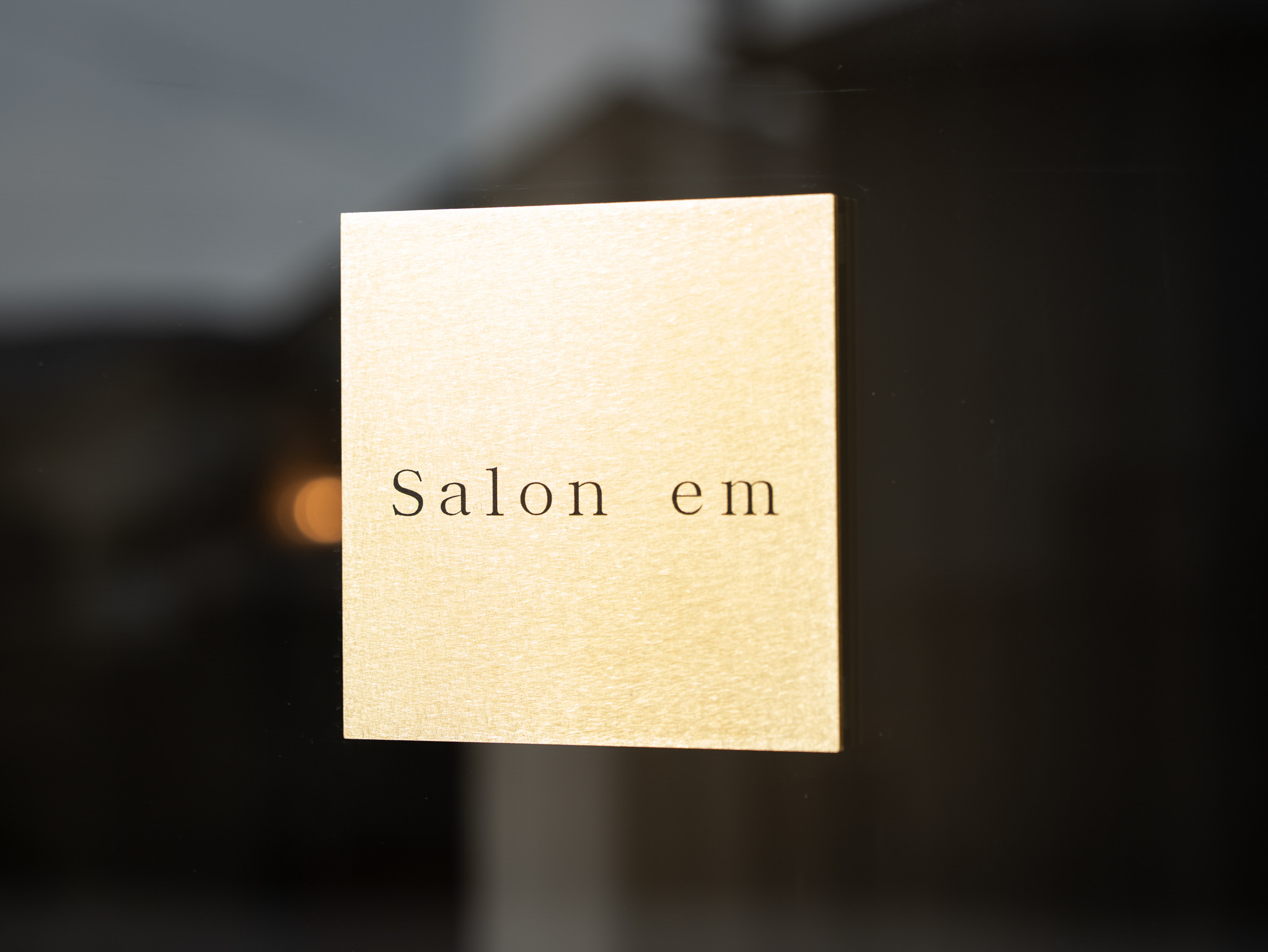 salon em 入口